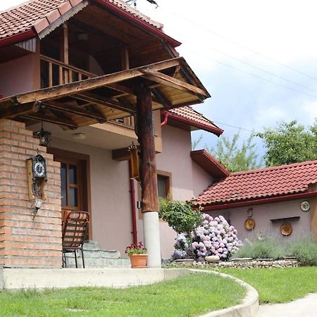 Casa Darius Villa Novaci-Străini Kültér fotó