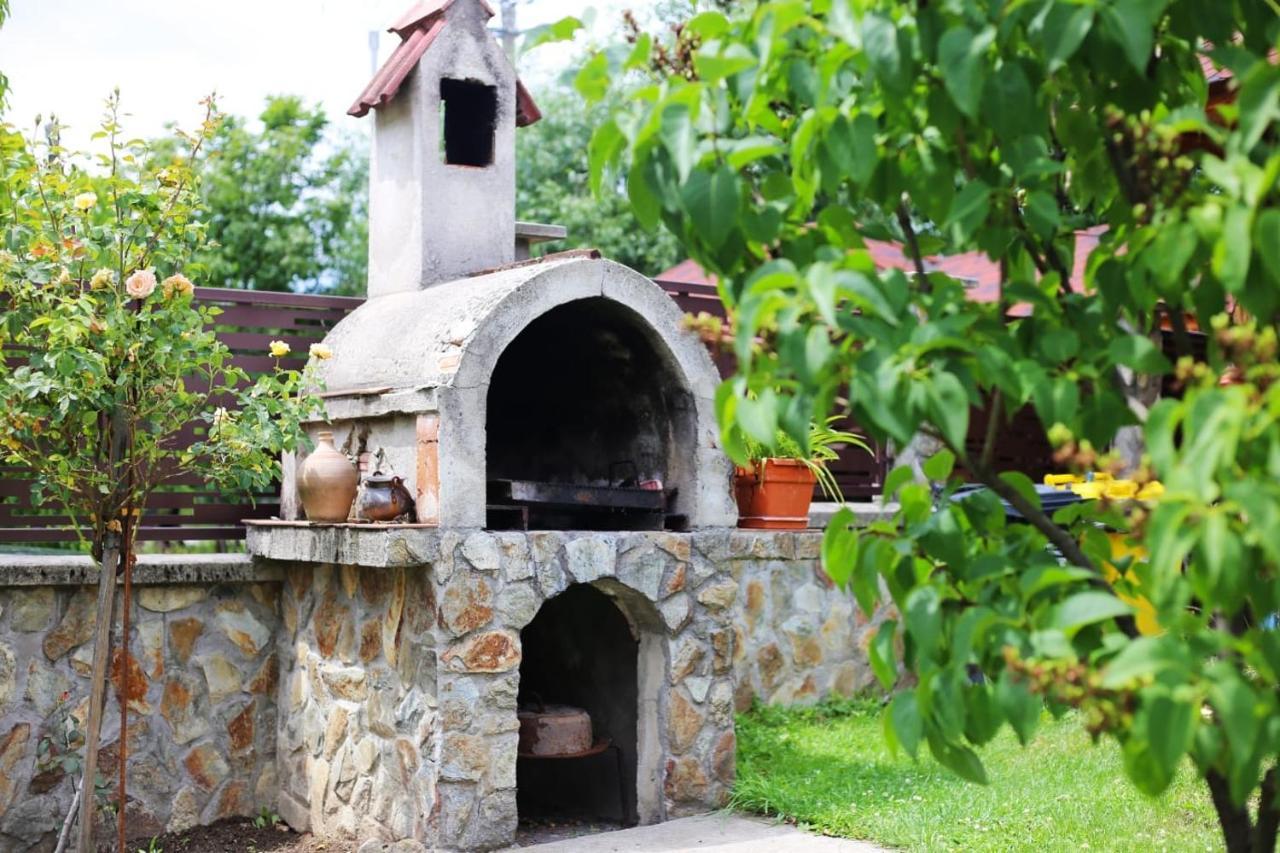 Casa Darius Villa Novaci-Străini Kültér fotó