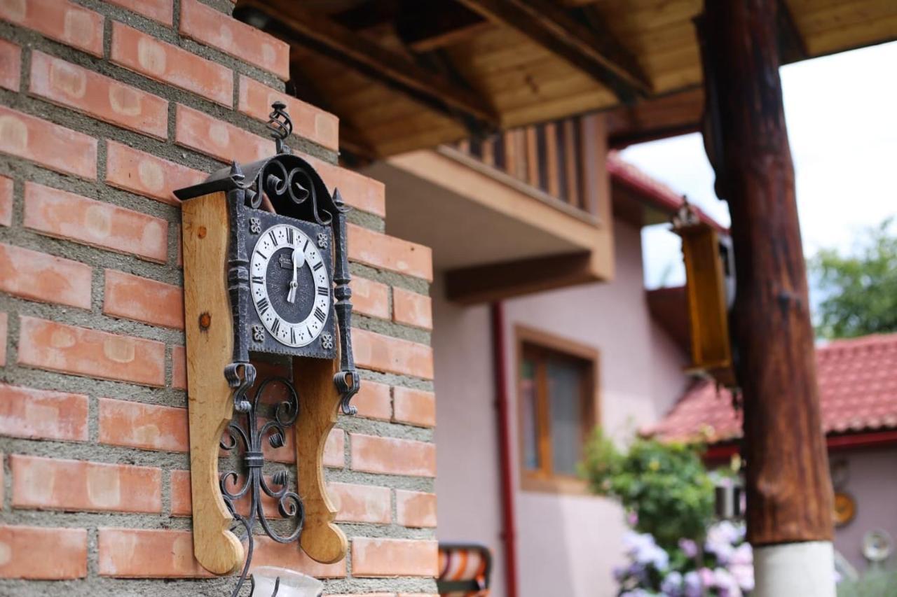 Casa Darius Villa Novaci-Străini Kültér fotó