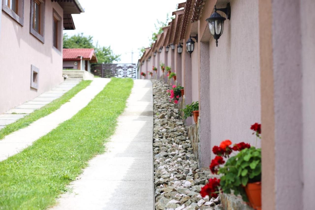 Casa Darius Villa Novaci-Străini Kültér fotó