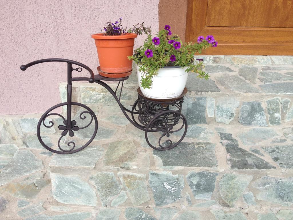 Casa Darius Villa Novaci-Străini Kültér fotó