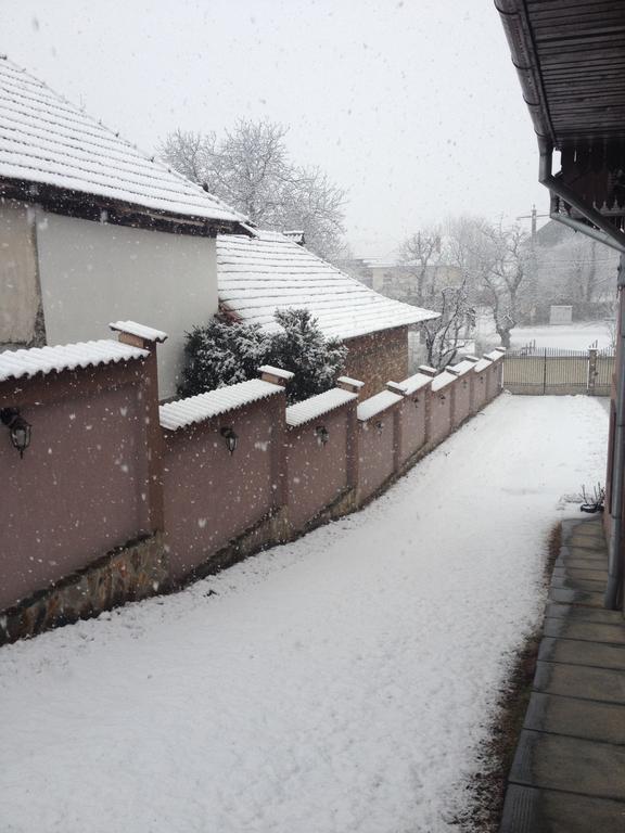 Casa Darius Villa Novaci-Străini Kültér fotó