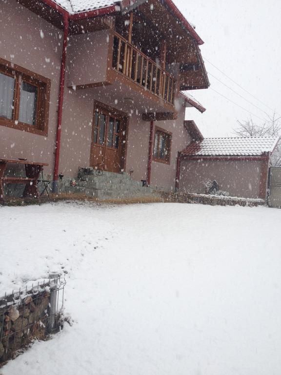 Casa Darius Villa Novaci-Străini Kültér fotó