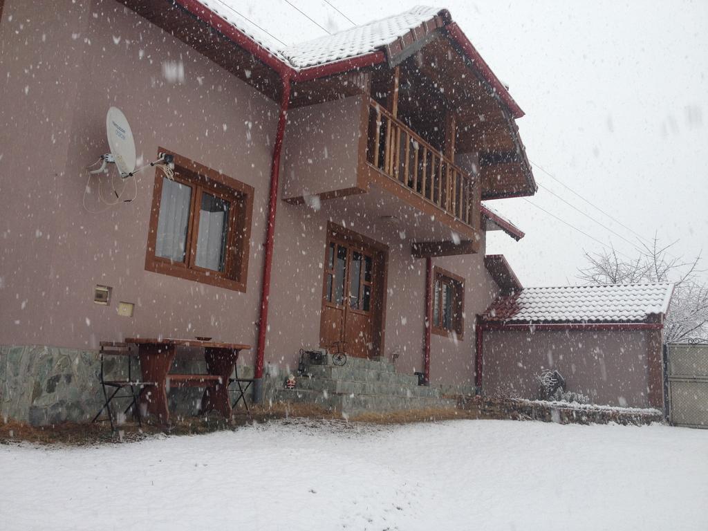 Casa Darius Villa Novaci-Străini Kültér fotó